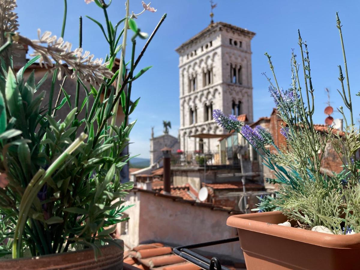 Terrazza San Michele - Affitti Brevi Italia Apartment Лука Екстериор снимка